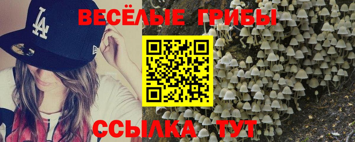 Галлюциногенные грибы Cubensis Ирбит