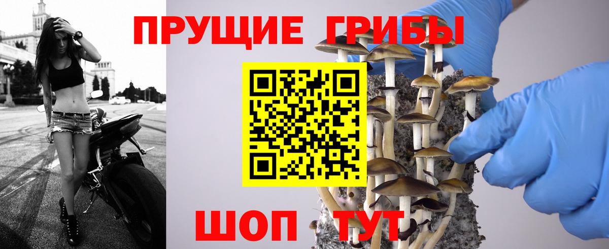 Псилоцибиновые грибы Psilocybe  Вход с VPN  Ирбит 